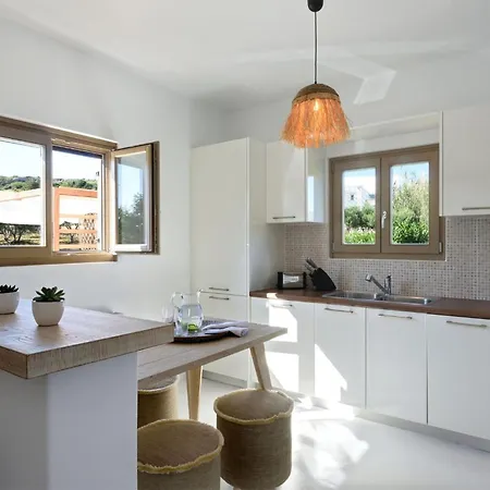 Executive Paros Aiolos Private Pool Jacuzzi Kostos Damouli * Isterni (Paros)