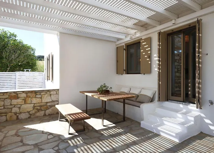 Executive Paros Aiolos Private Pool & Jacuzzi Kostos Villa