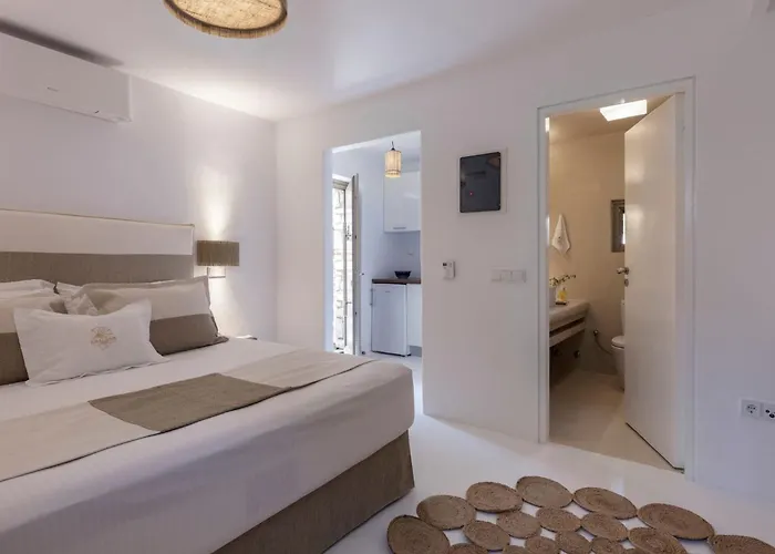 Executive Paros Aiolos Private Pool & Jacuzzi Kostos *