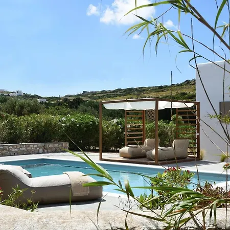 Executive Paros Aiolos Private Pool Jacuzzi Kostos Damouli Villa