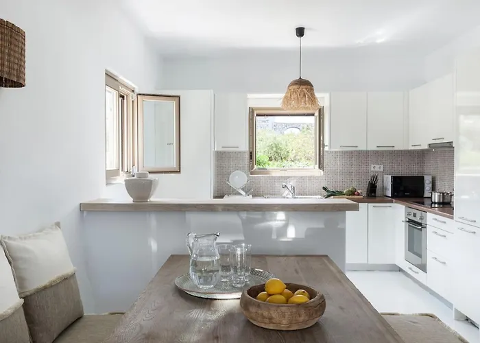 Executive Paros Aiolos Private Pool & Jacuzzi Kostos Villa *